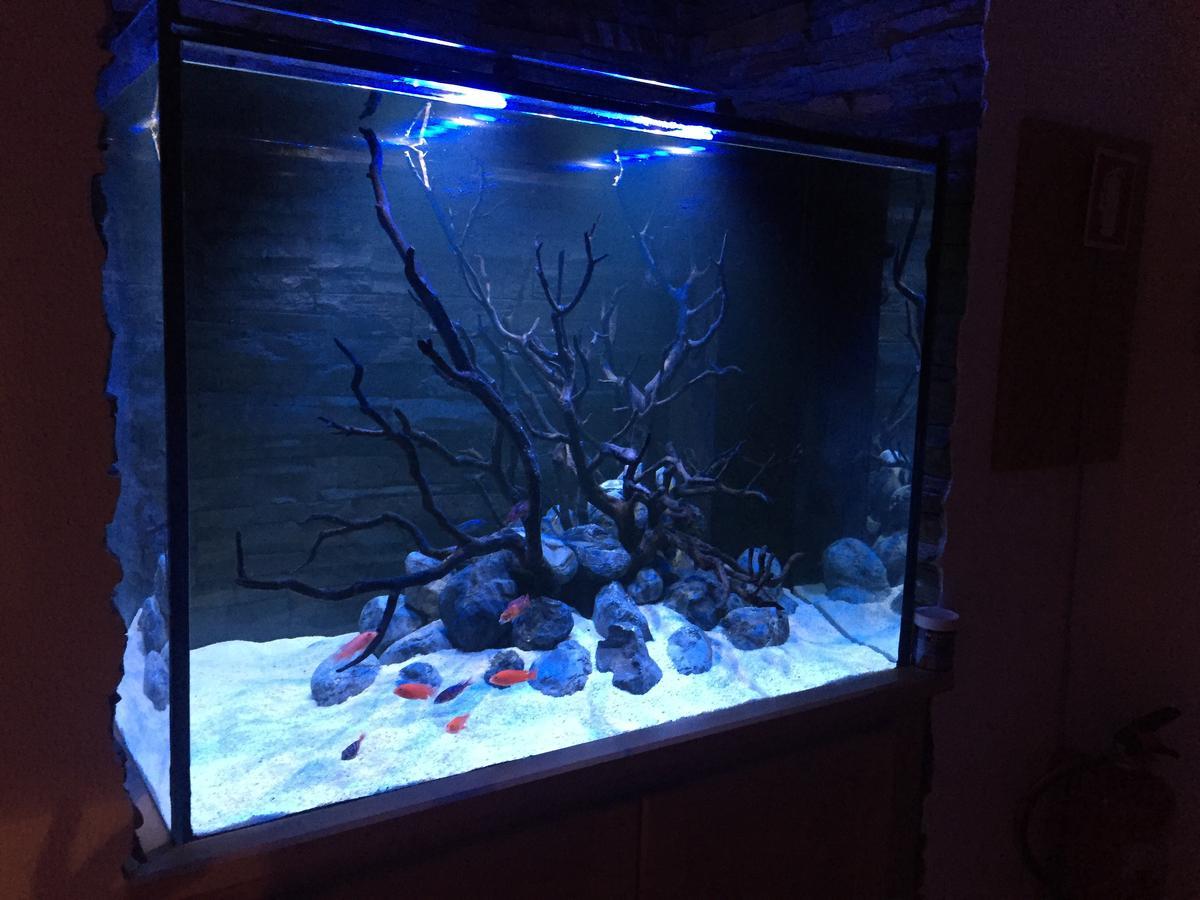 Aquarium House Daire Sesimbra Dış mekan fotoğraf